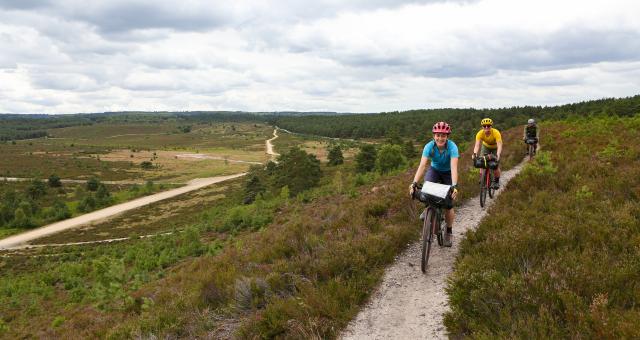 Pannier_King-Alfreds-Way-Route_Cycling-UK_5-Frensham-Common-Ponds.jpg