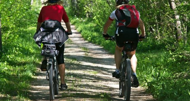 Cycling in The New Forest 