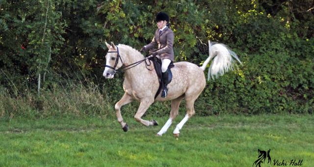 A horse rider on a palomino horse riding in a large field 